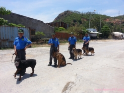 bao gia dich vu bao ve o hoc mon   sg24h