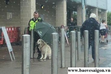 bao ve che cho chu cho dung duoi mua