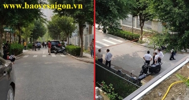 bao ve chet voi nhieu vet thuong o ha noi