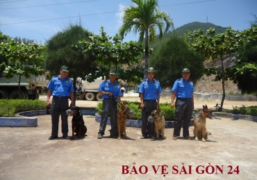 cong ty sai gon 24h   dich vu bao ve o dong thap