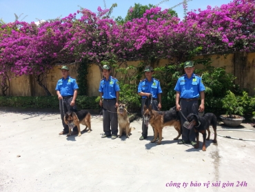 danh ba cac cong ty bao ve o cu chi