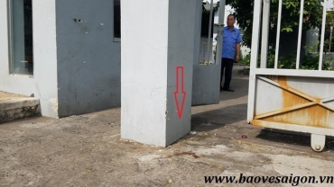 hai bao ve dan pho bi danh trong thuong